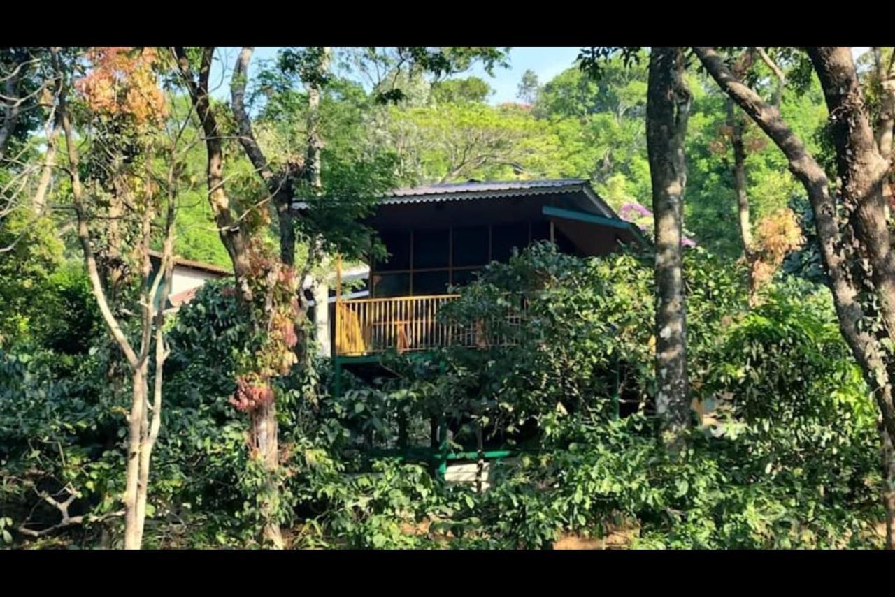 Hill Valley Farm House Nelliyampathy Екстериор снимка