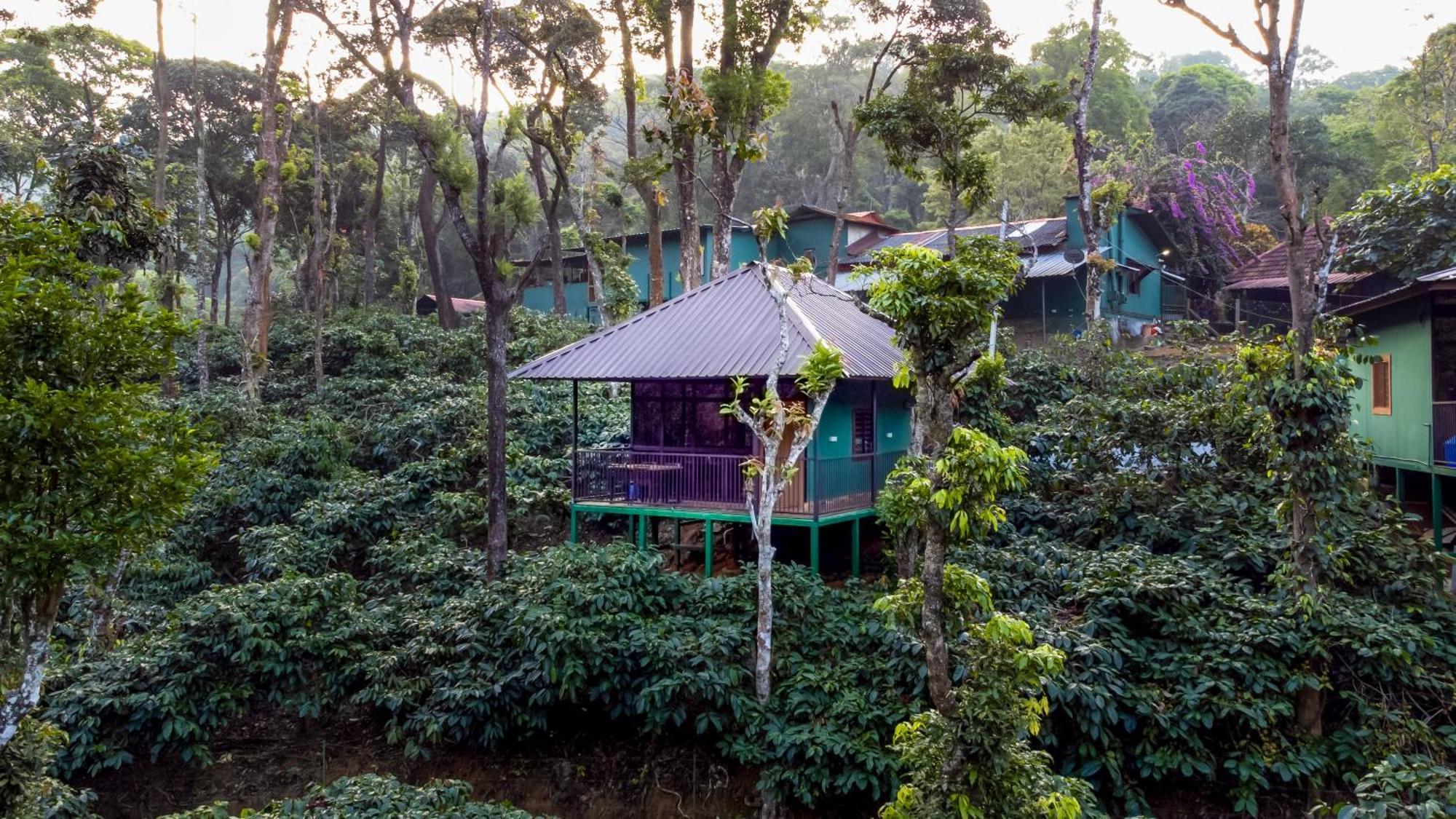 Hill Valley Farm House Nelliyampathy Екстериор снимка