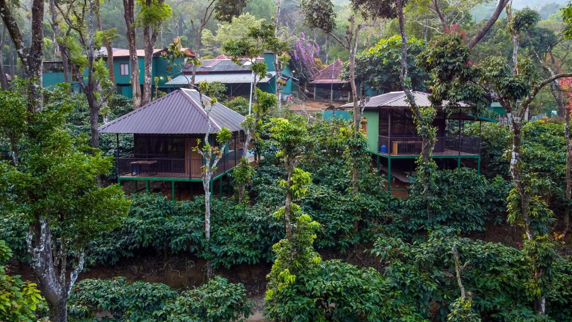 Hill Valley Farm House Nelliyampathy Екстериор снимка